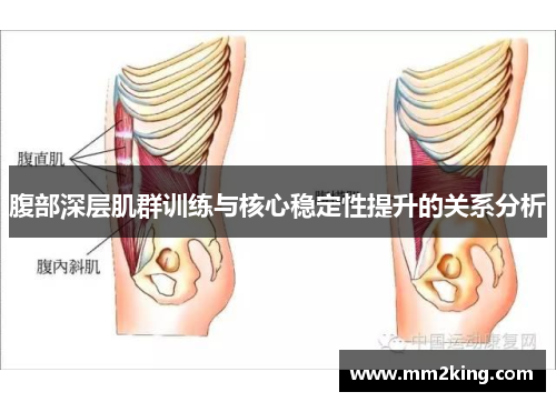 腹部深层肌群训练与核心稳定性提升的关系分析 腹部深层肌群训练与核心稳定性提升的关系分析