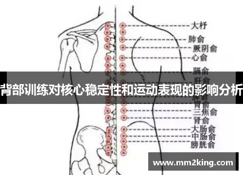 背部训练对核心稳定性和运动表现的影响分析