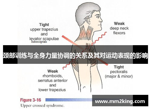 颈部训练与全身力量协调的关系及其对运动表现的影响 颈部训练与全身力量协调的关系及其对运动表现的影响